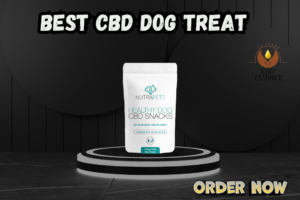 Best CBD Dog Treats | CBD Essence Calm Bites for Pet Wellness