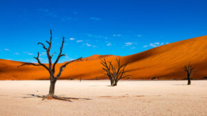 Discovering Sossusvlei: A Comprehensive Guide to Namibia’s Sand Dunes